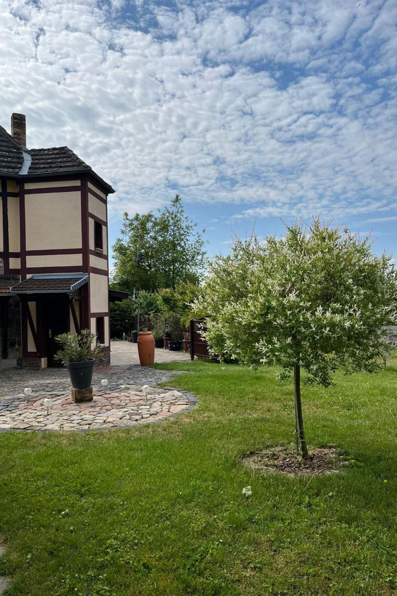 "Altes Stellwerk Frose" Am Froser See Exterior photo
